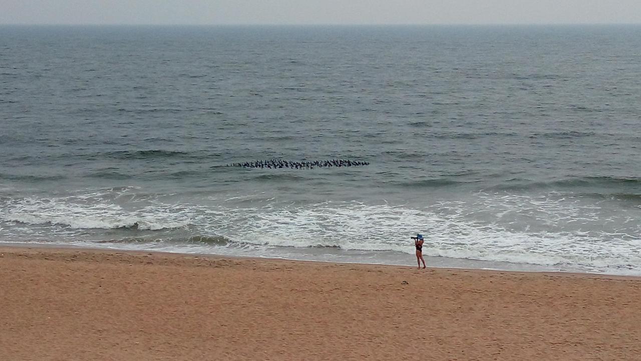 Sea La Vie Covelong Beach Resort Kelambākkam Extérieur photo